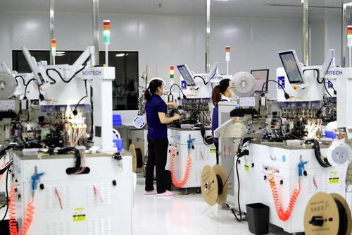 瀘州納溪 搶抓新質(zhì)生產(chǎn)力機遇 為高質(zhì)量發(fā)展蓄勢賦能